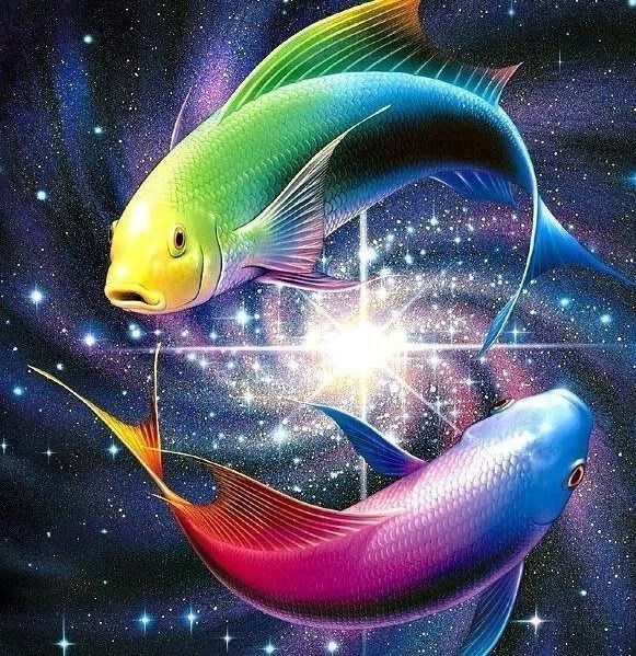 Pisces fish